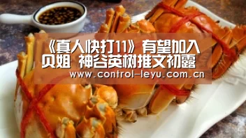 《真人快打11》有望加入贝姐 神谷英树推文初露端倪-leyu直播(图3) 乐鱼