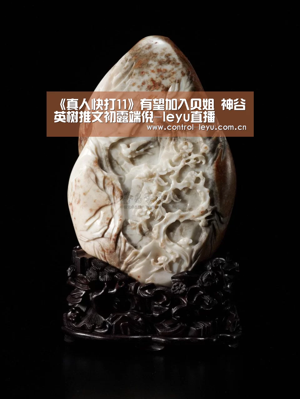 《真人快打11》有望加入贝姐 神谷英树推文初露端倪-leyu直播(图4) leyu体育