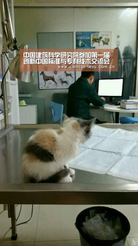 中国建筑科学研究院参加第一届创新中国标准与专利技术交流会‘乐鱼’(图1) leyu直播