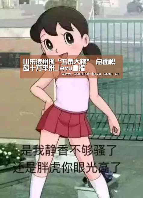 山东滨州现“五角大楼” 总面积超十万平米_leyu直播(图1) 乐鱼