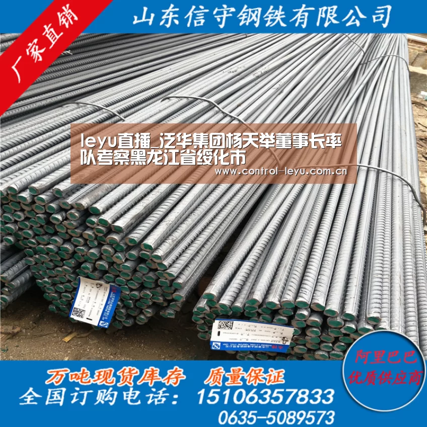 leyu直播_泛华集团杨天举董事长率队考察黑龙江省绥化市(图2) leyu体育