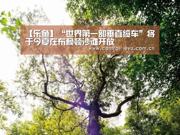 【乐鱼】“世界第一部垂直缆车”将于今夏在布赖顿沙滩开放(图1) 乐鱼体育平台