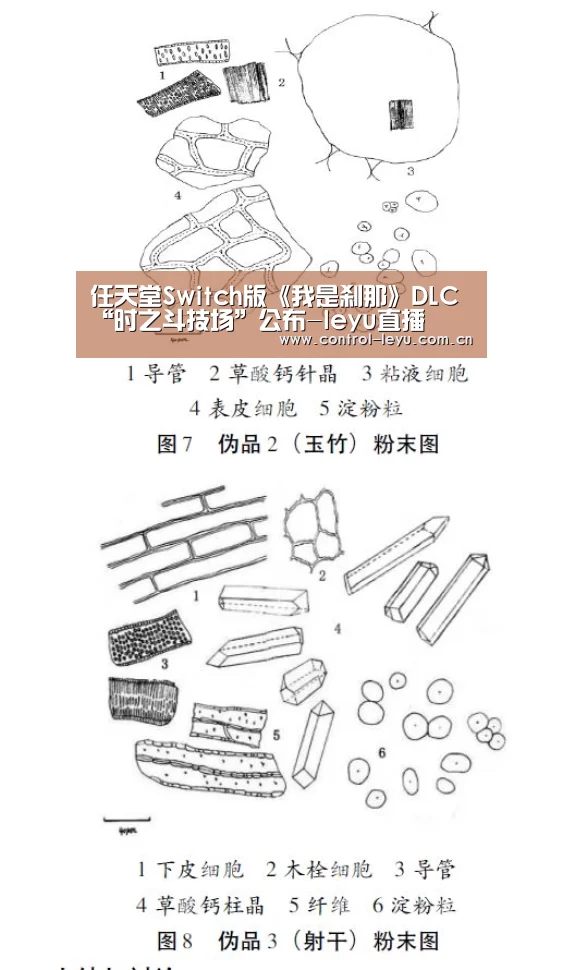 任天堂Switch版《我是刹那》DLC“时之斗技场”公布-leyu直播(图1) leyu体育
